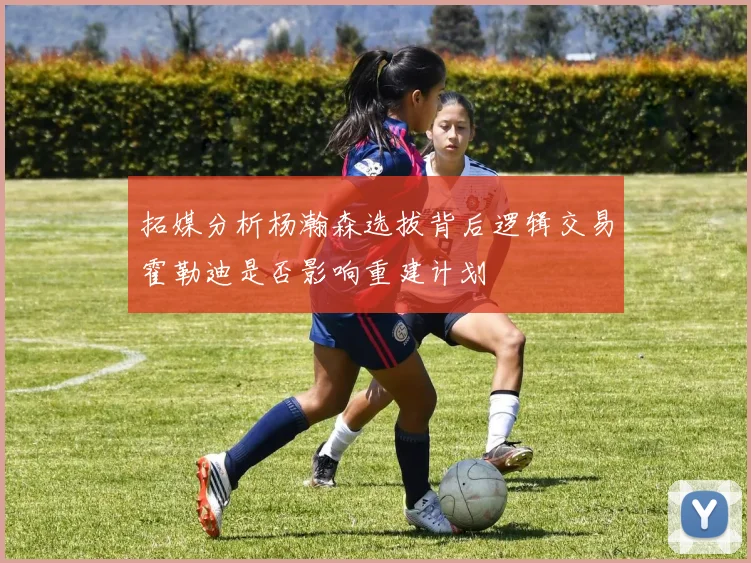 拓媒分析杨瀚森选拔背后逻辑交易霍勒迪是否影响重建计划