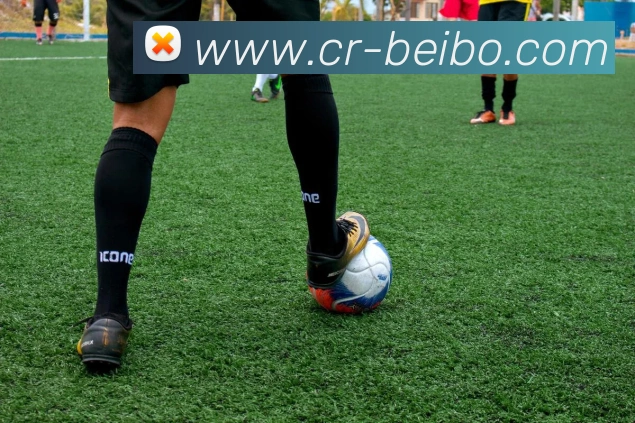 贝博足球平台生态图