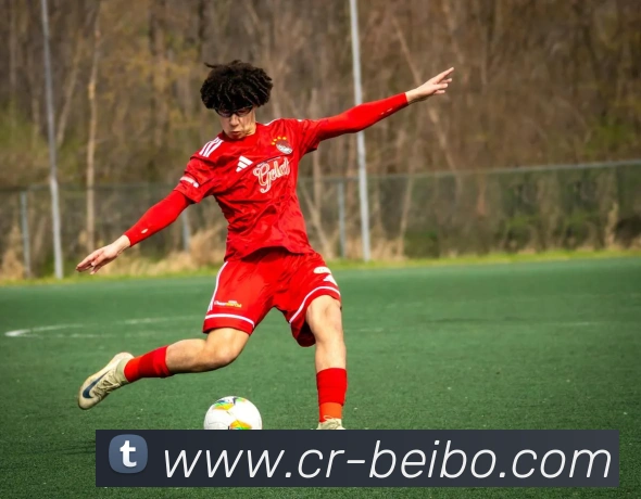 贝博足球全站App