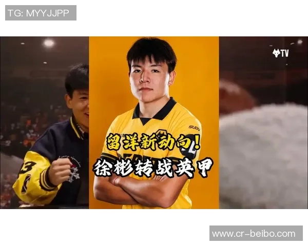 北青报道狼队计划优化徐彬训练以增加其英甲出场机会 北青报道狼队计划优化徐彬训练以增加其英甲出场机会